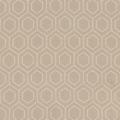 STOUT FABRICS  -ABLE -ABLE-1
