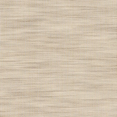 Stout Fabrics , Adair Adair, Raffia color, Drapery Woven style type , pattern number  ADAI-2