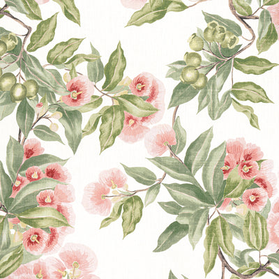 ANNA FRENCH FABRICS-CAMELLIA GARDEN-AF24550