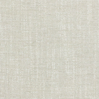 STOUT FABRICS  -ALBERTO -ALBE-5