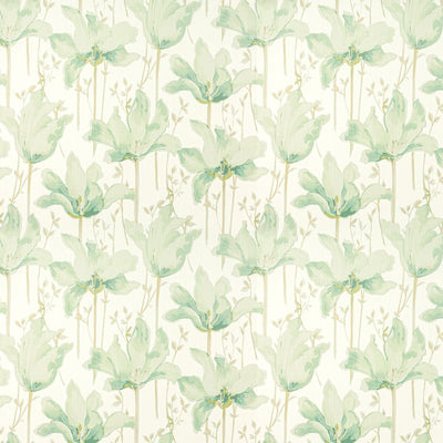 STOUT FABRICS  -AMATEUR -AMAT-2