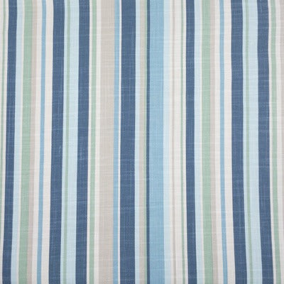 Stout Fabrics , Anthony Anthony, Blue color, Multipurpose Print style type , pattern number  ANTH-1