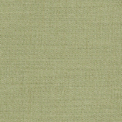 STOUT FABRICS  -ARAMIS -ARAM-1