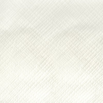 Stout Fabrics , Aslan Aslan, White color, Drapery Texture style type , pattern number  ASLA-2