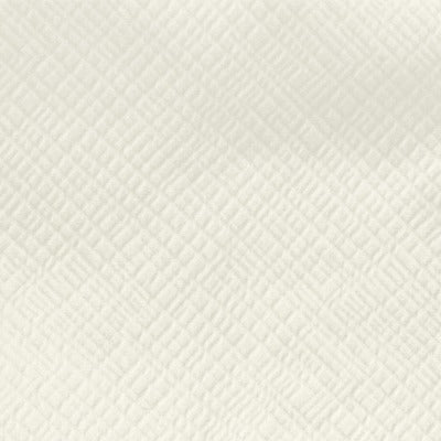Stout Fabrics , Aslan Aslan, Beige color, Drapery Texture style type , pattern number  ASLA-3