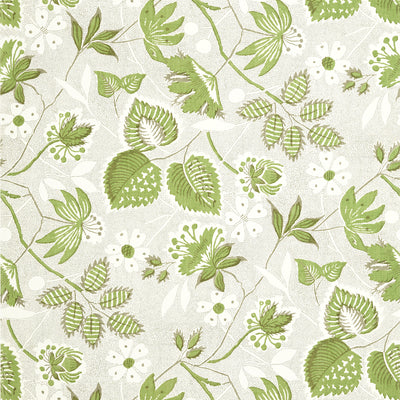 Anna French wallcovering, Indienne Hazel pattern , Green , White color, Ethnic,Floral,Jacobean,Leaves style type , pattern number  AT15118