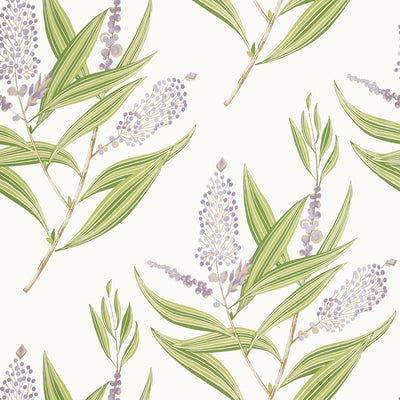 Anna French wallcovering, Winter Bud pattern , Plum color, Floral,Leaves style type , pattern number  AT23134