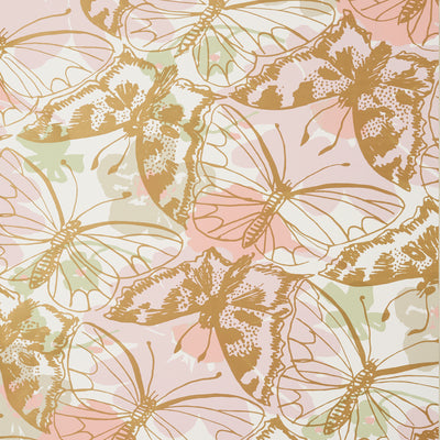 Anna French wallcovering, Paxton pattern , Blush color, Butterflies , Bugs style type , pattern number  AT23174