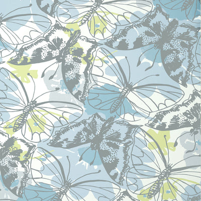 ANNA FRENCH WALLCOVERING-PAXTON- AT23177