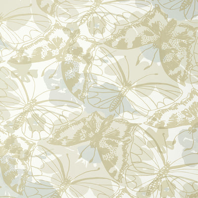 Anna French wallcovering, Paxton pattern , Beige color, Butterflies , Bugs style type , pattern number  AT23178