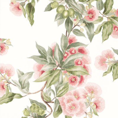 ANNA FRENCH WALLCOVERING-CAMELLIA GARDEN- AT24550