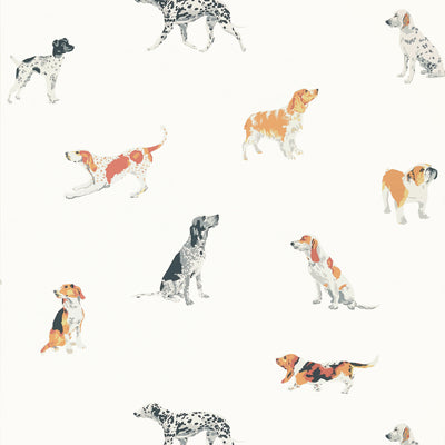 Anna French wallcovering, Buddy pattern , Brights color, Animals,Novelty style type , pattern number  AT24600