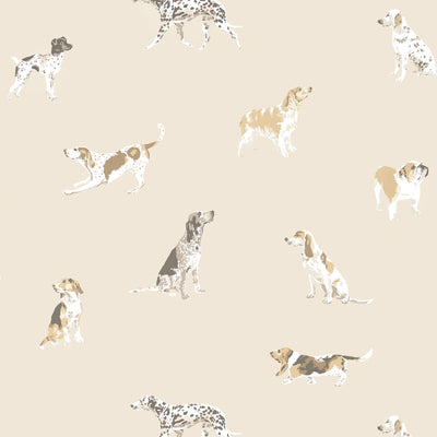ANNA FRENCH WALLCOVERING-BUDDY- AT24601