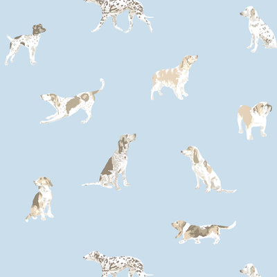 ANNA FRENCH WALLCOVERING-BUDDY- AT24602