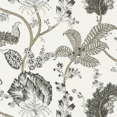 Anna French wallcovering, Kalamkari Vine pattern , Black color, Floral,Jacobean style type , pattern number  AT78739