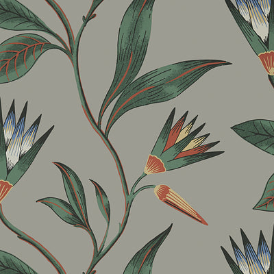 Anna French wallcovering, Cleo Vine pattern , Black color, Floral,Leaves style type , pattern number  AT9616