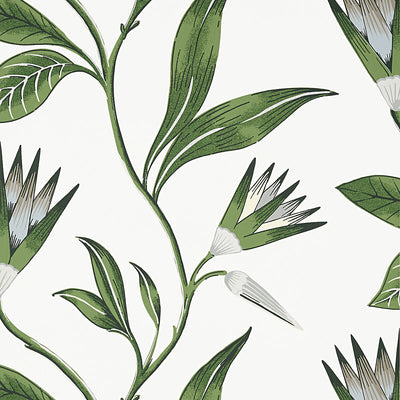 ANNA FRENCH WALLCOVERING-CLEO VINE- AT9622