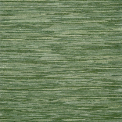 Anna French wallcovering, Gaya pattern , Green , White color, Texture, Embossed style type , pattern number  AT9657