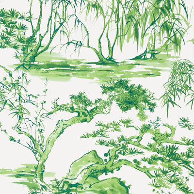 Anna French wallcovering, Kyoto pattern , Emerald Green color, Chinoiserie,Leaves,Toile style type , pattern number  AT9828
