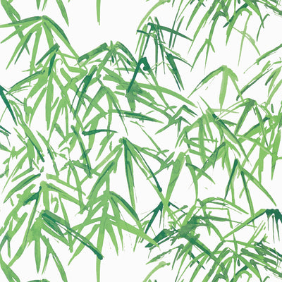 Anna French wallcovering, Kyoto Leaves pattern , Green color, Chinoiserie,Leaves,Toile style type , pattern number  AT9869