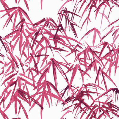 Anna French wallcovering, Kyoto Leaves pattern , Fuchsia color, Chinoiserie,Leaves,Toile style type , pattern number  AT9872