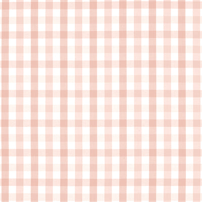 ANNA FRENCH FABRICS-SAYBROOK CHECK-AW15148