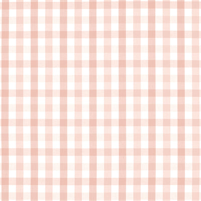 ANNA FRENCH FABRICS-SAYBROOK CHECK-AW15148