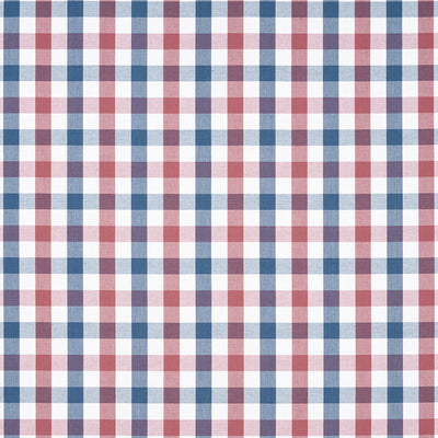 ANNA FRENCH FABRICS-SAYBROOK CHECK-AW15153