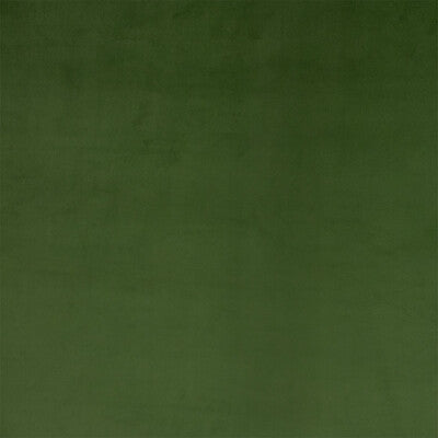 Greenhouse Fabrics - B9866 LIMA