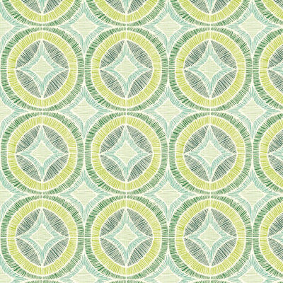 STOUT FABRICS  -BENCHMARK -BENC-1