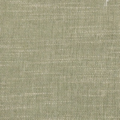 Stout Fabrics , Benton Benton, Green color, Multipurpose Texture style type , pattern number  BENT-2