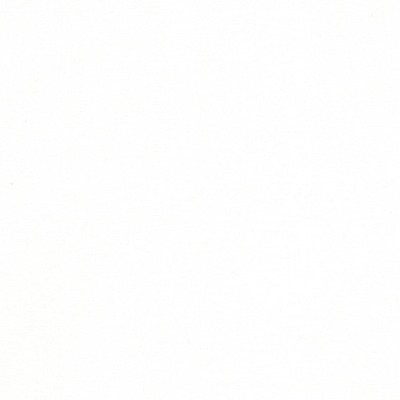 Stout Fabrics , Beta Beta, White color, Upholstery Chenille style type , pattern number  BETA-6