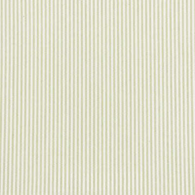 Stout Fabrics , Bethany Bethany, Green color, Multipurpose Wovens style type , pattern number  BETH-1