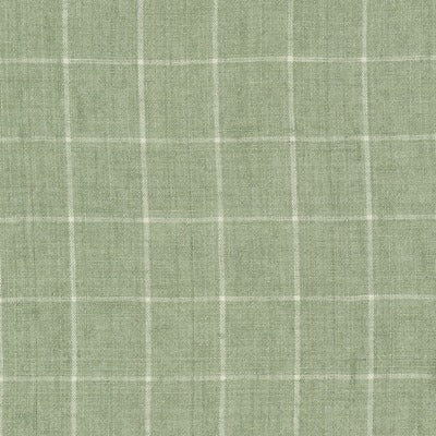 Stout Fabrics , Beulah Beulah, Green color, Multipurpose Wovens style type , pattern number  BEUL-1