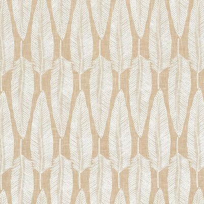 STOUT FABRICS  -BEWITCHED -BEWI-1