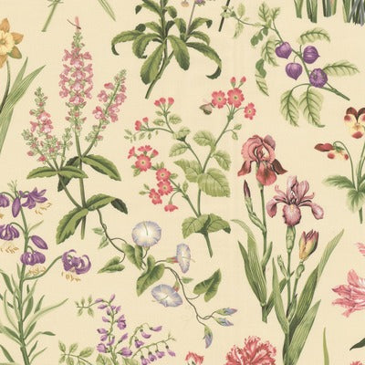 Stout Fabrics , Bianca Bianca, Pink color, Multipurpose Print style type , pattern number  BIAN-1