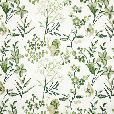 STOUT FABRICS  -BIRAN -BIRA-3