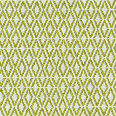 STOUT FABRICS  -BOLDER -BOLD-2