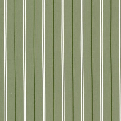Stout Fabrics , Boretti Boretti, Pistachio color, Upholstery Wovens style type , pattern number  BORE-1
