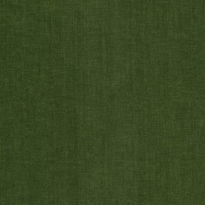 Stout Fabrics , Bountiful Bountiful, Green color, Upholstery Chenille style type , pattern number  BOUN-11