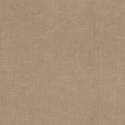 Stout Fabrics , Bountiful Bountiful, Beige color, Upholstery Chenille style type , pattern number  BOUN-14