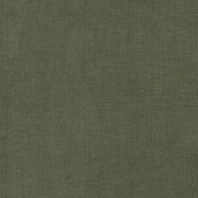 Stout Fabrics , Bountiful Bountiful, Green color, Upholstery Chenille style type , pattern number  BOUN-19