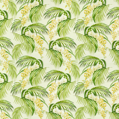 STOUT FABRICS  -BUZZ -BUZZ-2