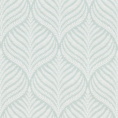 STOUT FABRICS  -CADENCE -CADE-1