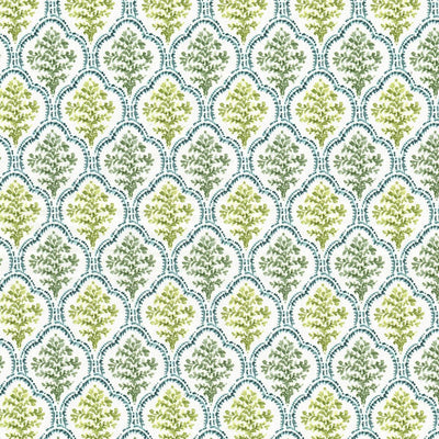 STOUT FABRICS  -CAPELLE -CAPE-1