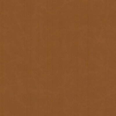 Stout Fabrics , Cervantes Cervantes, Brown color, Faux Leather style type , pattern number  CERV-2