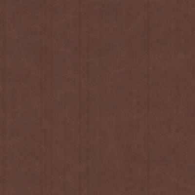 Stout Fabrics , Cervantes Cervantes, Brown color, Faux Leather style type , pattern number  CERV-3