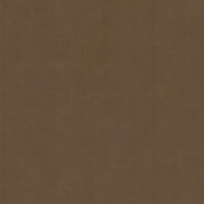 Stout Fabrics , Cervantes Cervantes, Brown color, Faux Leather style type , pattern number  CERV-4