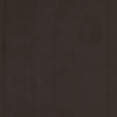 Stout Fabrics , Cervantes Cervantes, Brown color, Faux Leather style type , pattern number  CERV-5