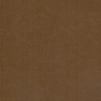 Stout Fabrics , Cervantes Cervantes, Brown color, Faux Leather style type , pattern number  CERV-6
